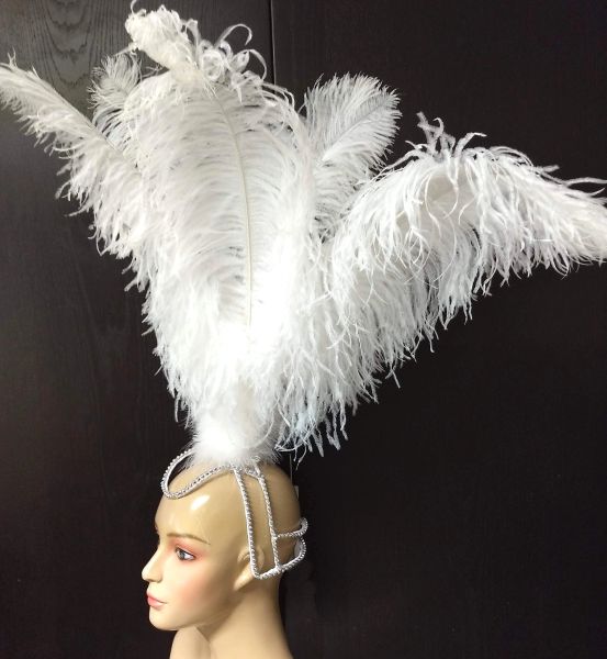 Samba headdress feather Piece Fantasy Fest Carnival Showgirl Headpiece ...