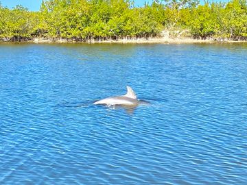 Turkey Creek Nature Preserve Tours - Book Now