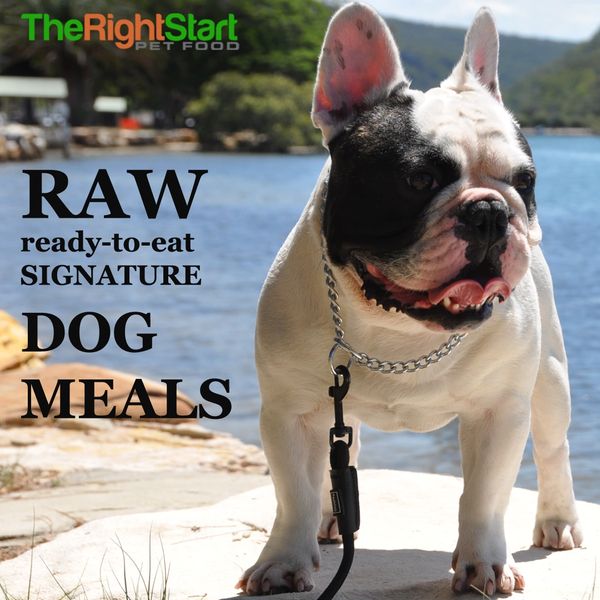 raw dog and pet food delivered. small,medium and large dogs,pup Raw
