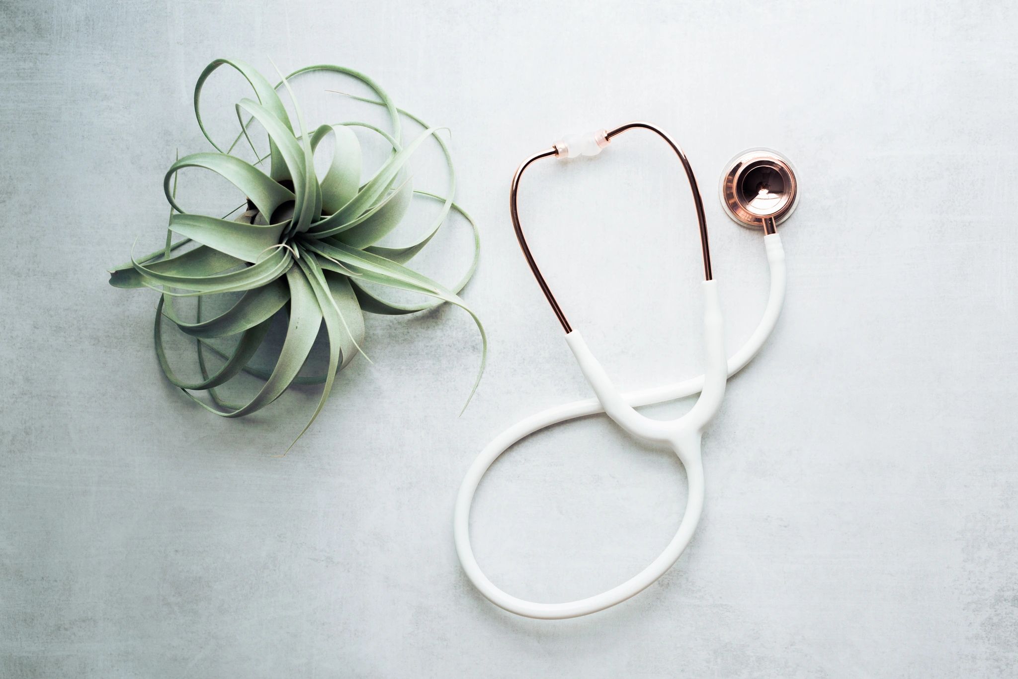 plant and stethoscope