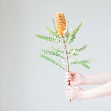 woman holding sugarbush branch