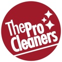 The Pro Cleaners Pte Ltd