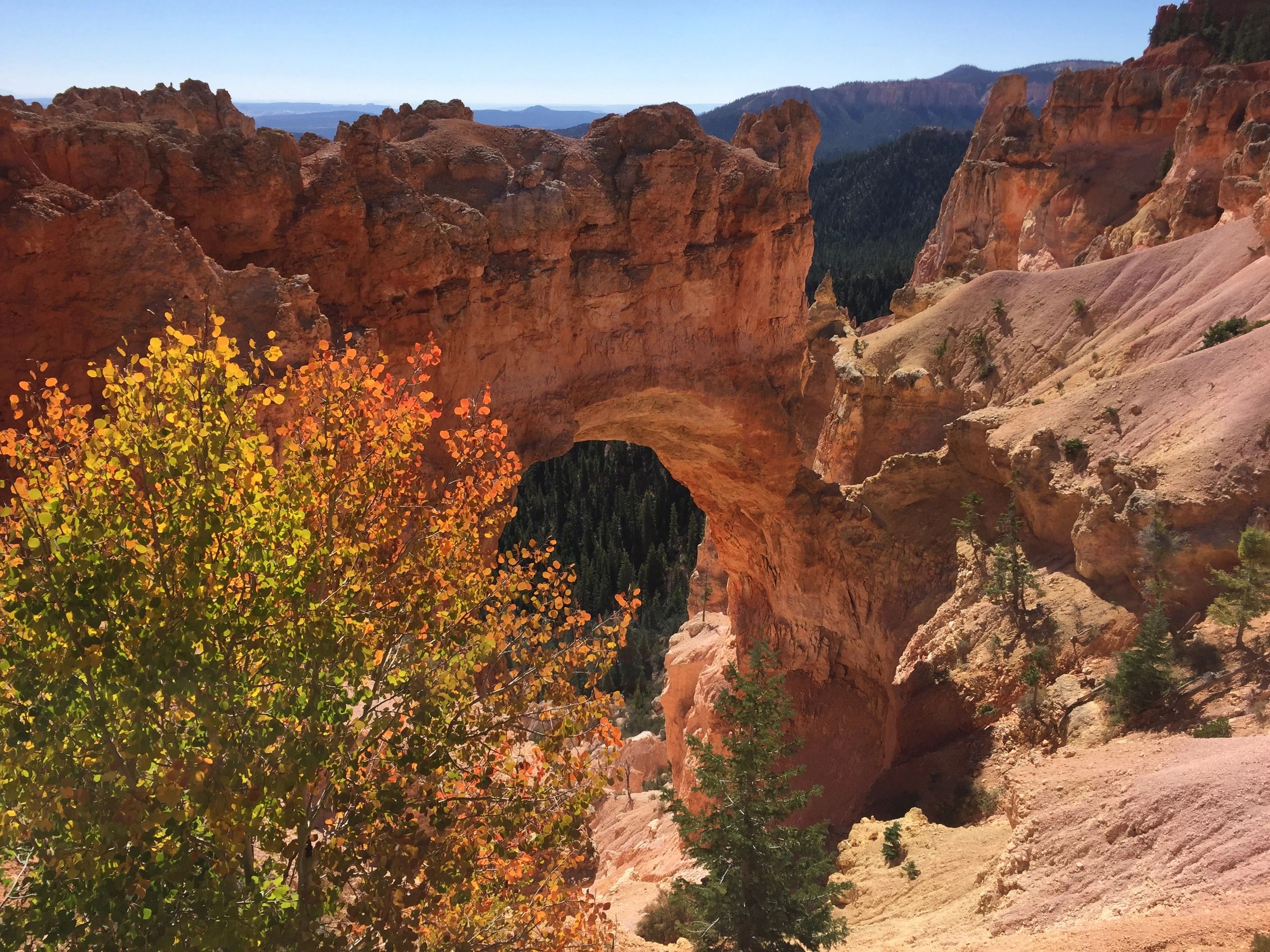 bryce canyon private tours