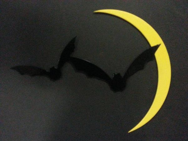 Bats And The Moon