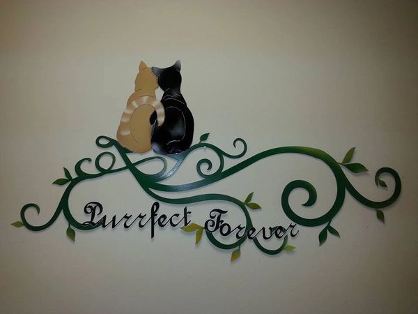 Purrfect Forever