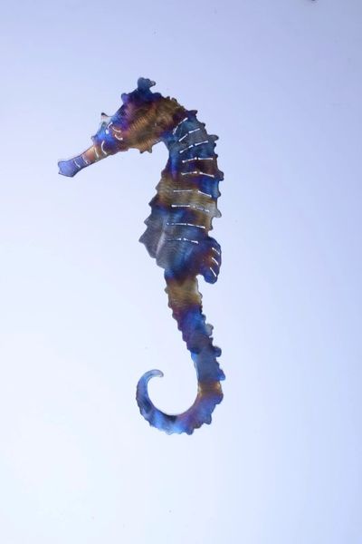 Seahorse With Patina