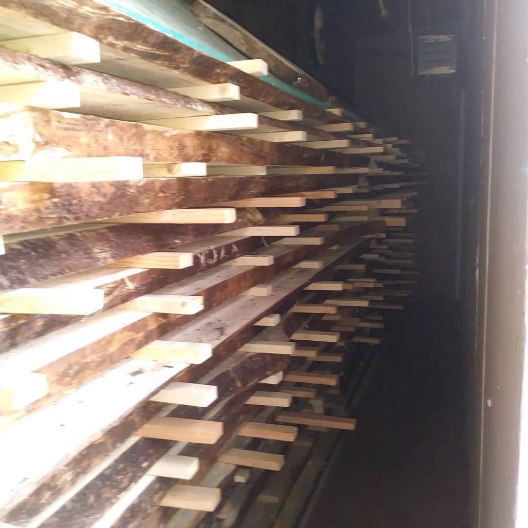 Live edge wood slabs in the dehumidifying wood drying kiln 