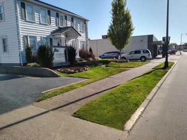 Sidewalk Edging, Landscape Bed Maintenance, Commercial Building Exterior Maintenance