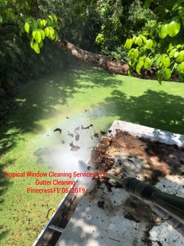 Tropical Pressure CleaningServices LLC
 Residential Pressure Washing 
Pinecrest FL 05/2019
