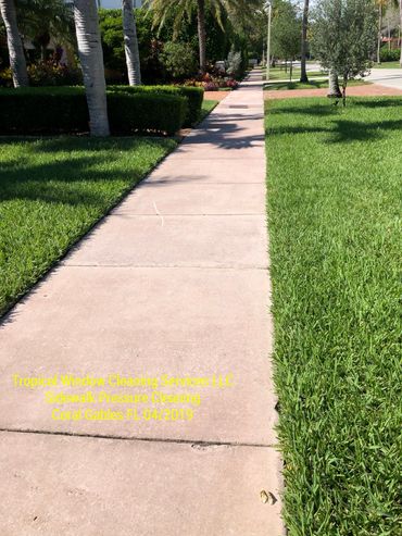 Tropical Pressure CleaningServices LLC
 Residential Pressure Washing  
Coral Gables  FL 04/2019