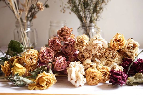 Dried Bouquets