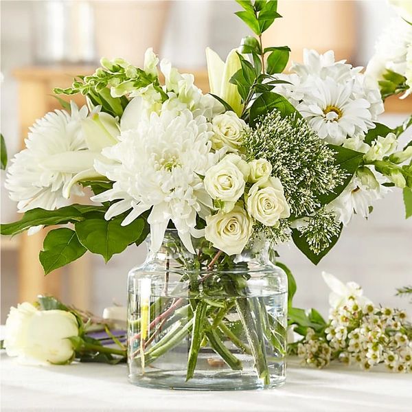 Classic Ivory