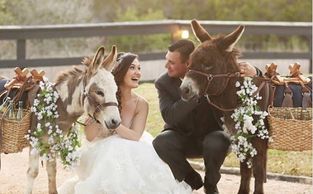 Talk about amazing pics with these Wedding Donkeys and Beer Burros!
