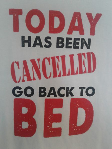 Today Has Bee CANCELLED Go Back To BED T shirt