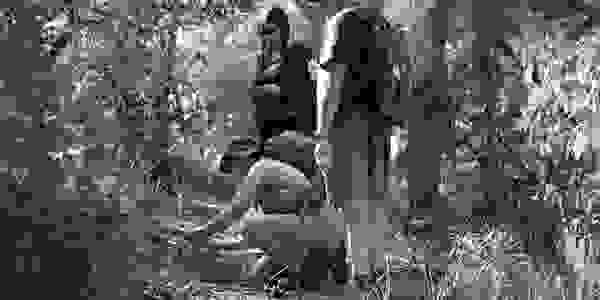 Walkers looking at micro-flora. 