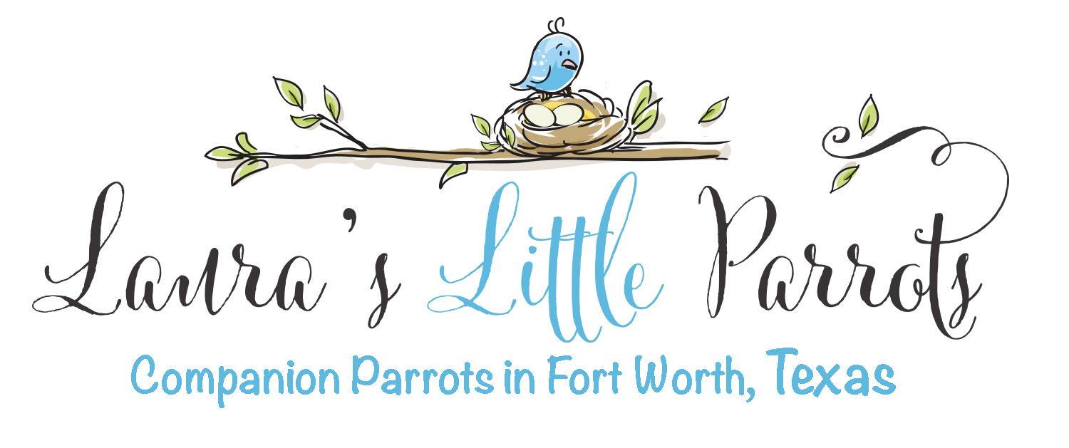 lauraslittleparrots.com