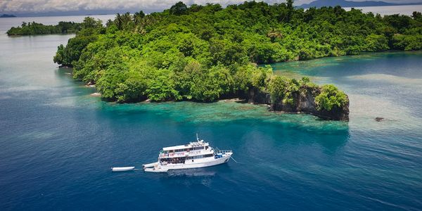 Walindi Plantation Resort - Kimbe Bay, Papua New Guinea - Dive ...