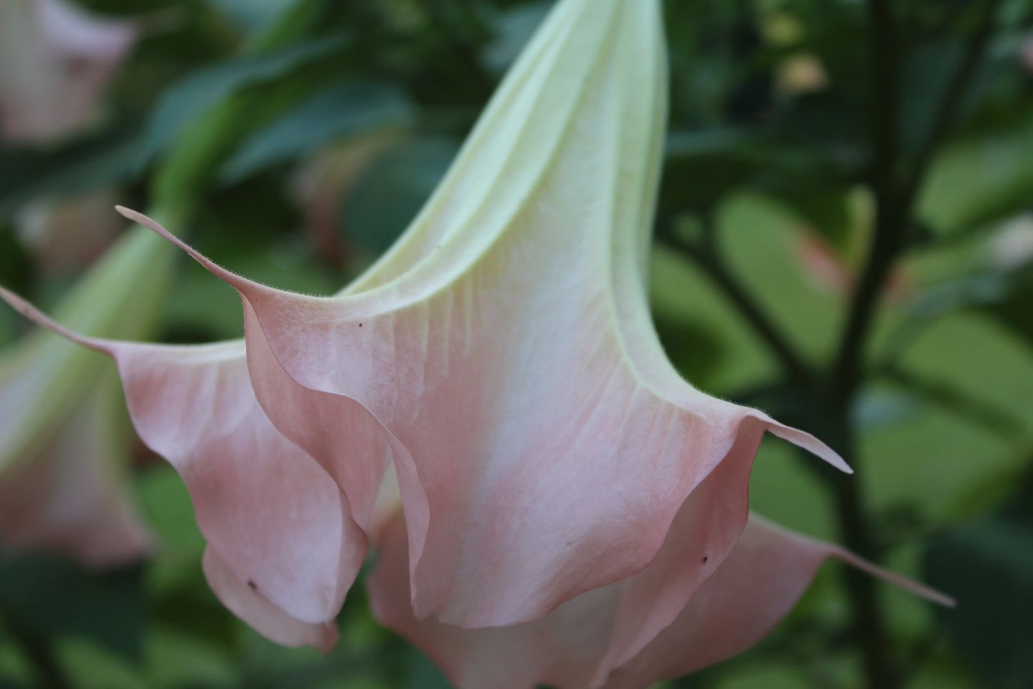 image18