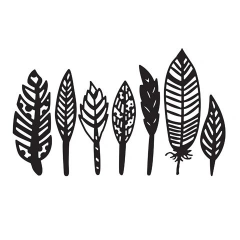 Feathers Embossing Folder (4.24"x5.75") by Darice
