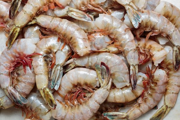 Shrimp Wild Caught U12