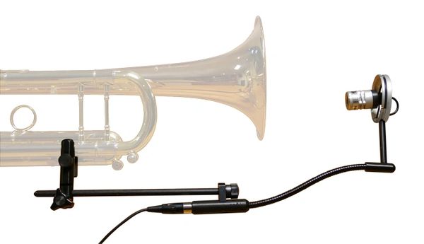 Vruchtbaar geduldig trainer Trumpet | Applied Microphone Technology