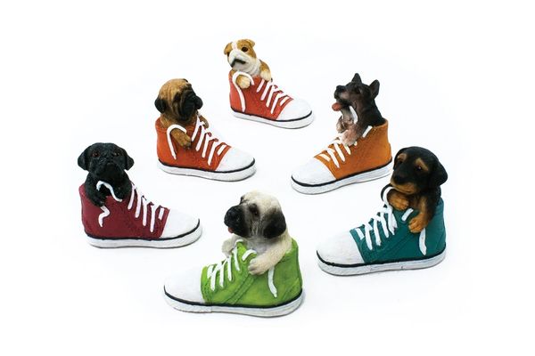 FA95 Mini Puppies in Sneaker (12 PCS SET)