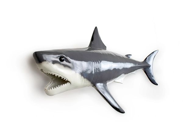 FF505 Giant White Shark 40"