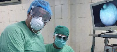 Flexible Ureteroscopy and Percutaneous Surgery