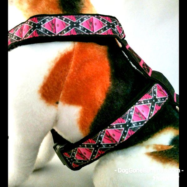 Hot Pink Camo Rebel Flag Dog Harness DogGone Bananas