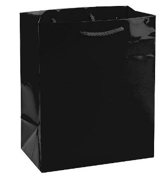 Black Medium Solid Glossy Bag