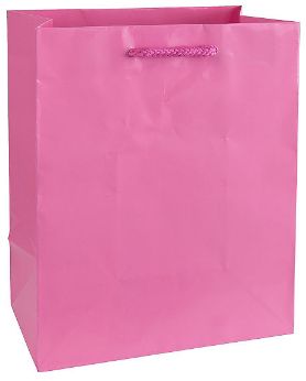 Solid Glossy Bright Pink Medium Bag