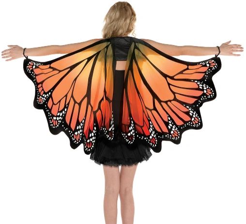 Orange Monarch Wings
