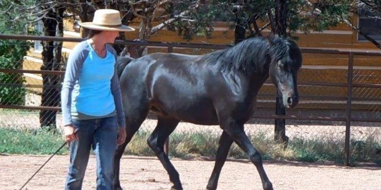 Ridge and I doing a bit of liberty work - he was 3 in this picture.