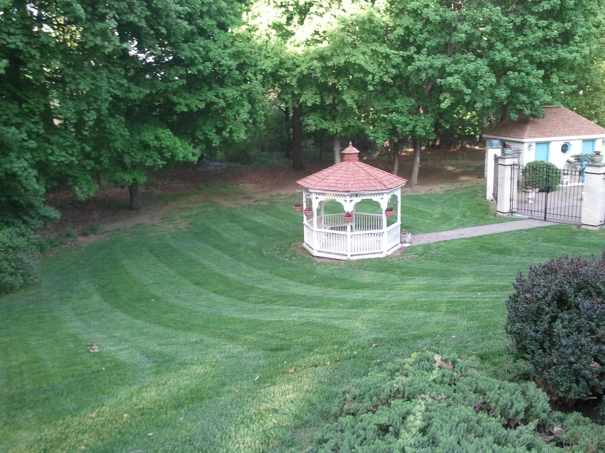 Lawn care Landscaping Lawn services