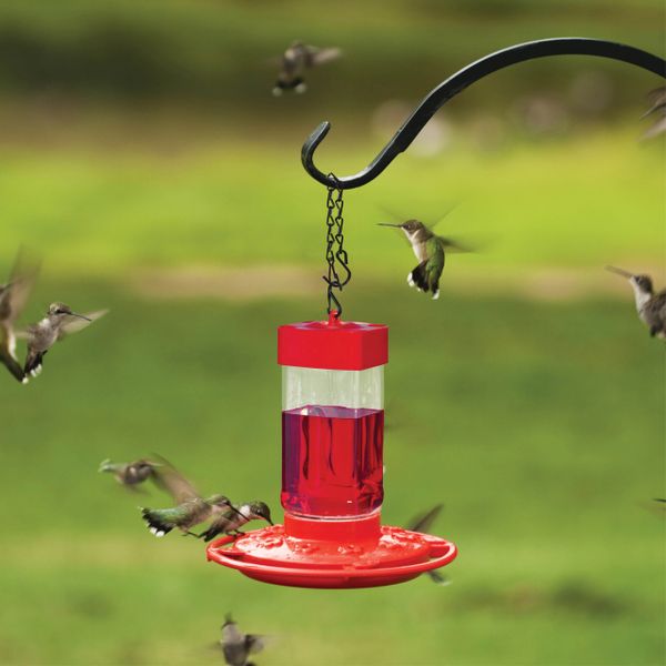 First Nature 3090 Hummingbird Nectar Flower Feeder Made in the USA 32 oz. 