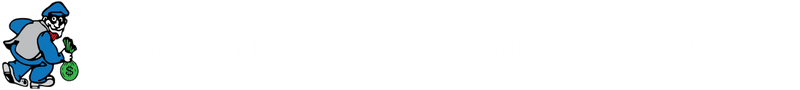 Detection Security Co., Inc.