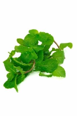 Peppermint essential oil 1 oz