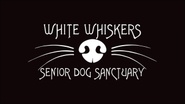 White Whiskers Senior Dog Sanctuary