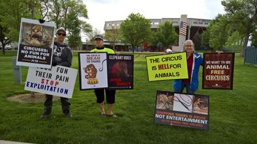 peaceful circus protest in Colorado