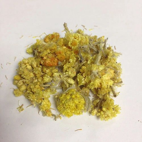 1oz Life Everlasting Flower Herb