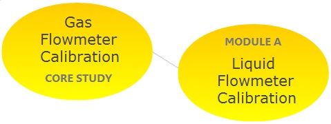 FLOW CALIBRATION: Module A: Worldwide Liquid Flow Calibration Facilities and Markets (PDF file)