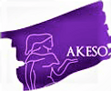Akeso Consulting, LLC