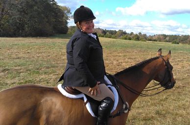 Consignment horses sell very gast