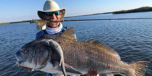 Socrates with a huge black drum on fly