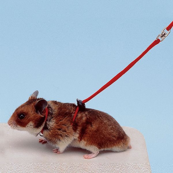 NY HAM HARNESS HAMSTER RED (75598922)