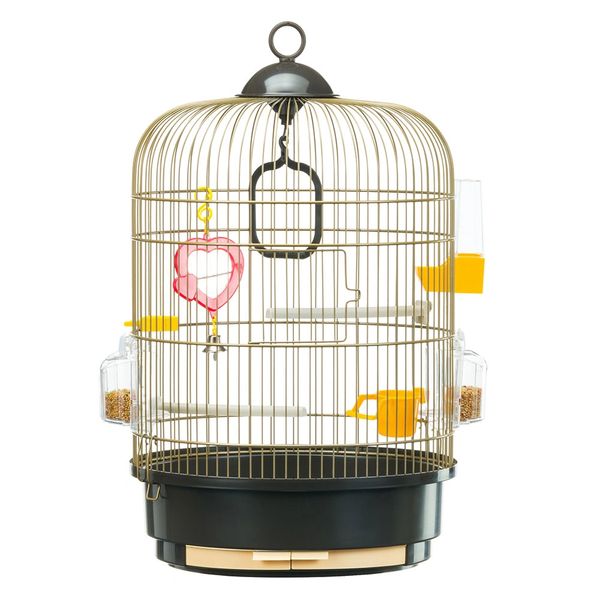 CAGE REGINA ANTIQUE BRASS (51049802)