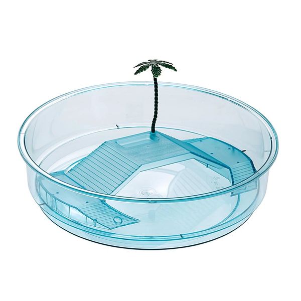 TURTLE BOWL OASI (60016015)