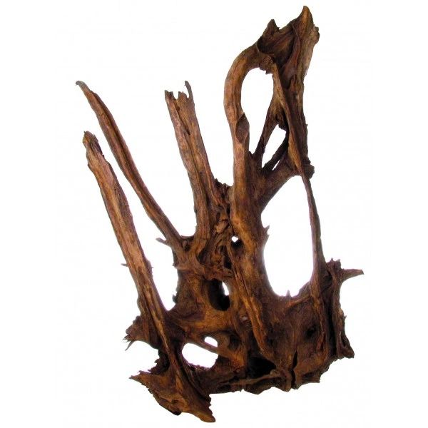 Aquarium root Mangrovewood 50-65cm (185.20)