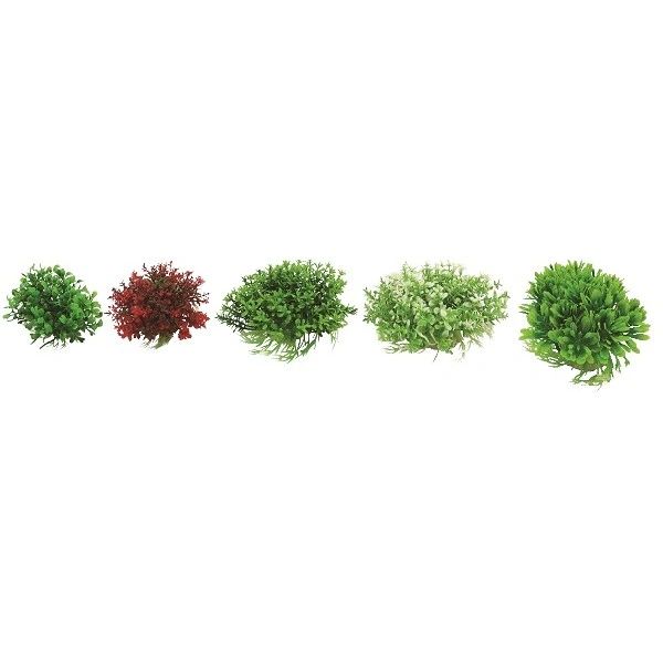 Plant mix 5-6cm, FLIPPER (192.01)
