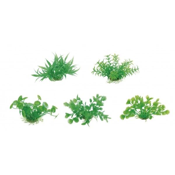 Aquarium plant 10-12cm Flipper (192.11)